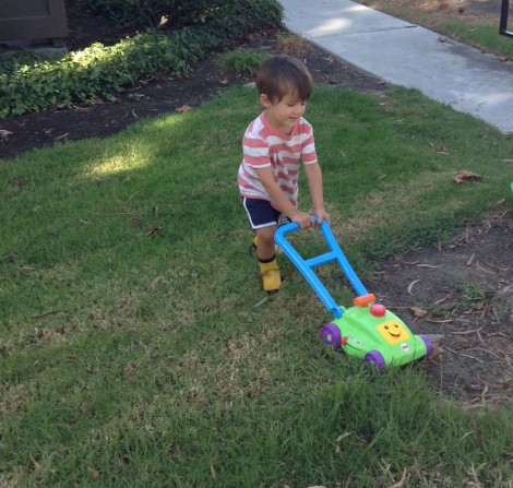 Ben Mowing